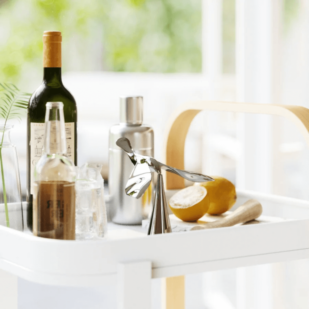 Abridor De Garrafas Drinking Buddy Titanium Pássaro Cromado