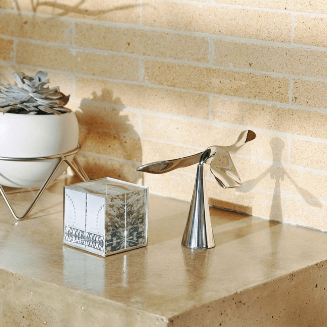 Abridor De Garrafas Drinking Buddy Titanium Pássaro Cromado